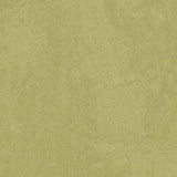 Marmoleum Fresco 3265 Avocado - Linoleum