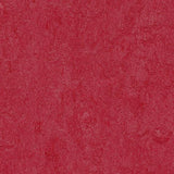 Marmoleum Fresco 3273 Ruby - Linoleum