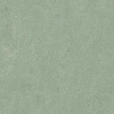 Marmoleum Fresco 3891 Sage - Linoleum