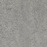 Marmoleum Decibel 314635 Serene Grey - Linoleum
