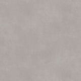 Ambiant Supreme 50 Beton 5705 Lichtgrijs - Vinyl
