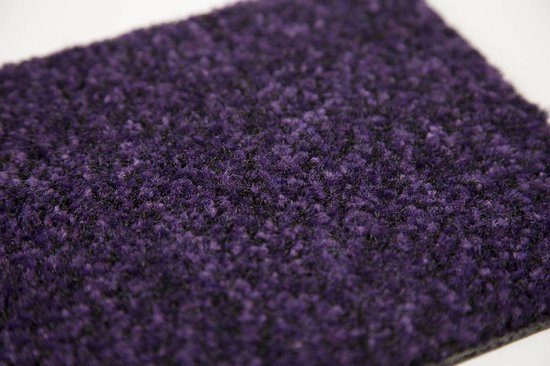 Coral Brush 5609 Royal Purple - Schoonloopmat - Deurmat