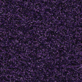 Coral Brush 5609 Royal Purple - Schoonloopmat - Deurmat