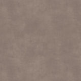 Ambiant Supreme 50 Beton 5712 Grijsbruin - Vinyl