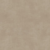 Ambiant Supreme 50 Beton 5715 Zand - Vinyl