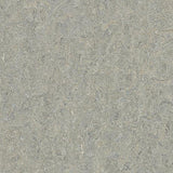 Marmoleum Terra 5802 Alpine Mist - Linoleum