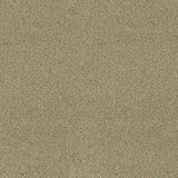 Desso Asteranne 50 7945 - Vloerbedekking - Tapijt