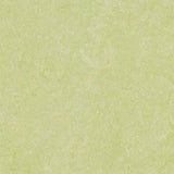 Marmoleum Real 3881 Green Wellness - Linoleum