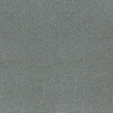 Desso Asteranne 50 8906 - Vloerbedekking - Tapijt