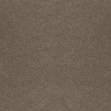 Desso Asteranne 50 9003 - Vloerbedekking - Tapijt
