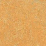 Marmoleum Real 3847 Golden Saffron - Linoleum