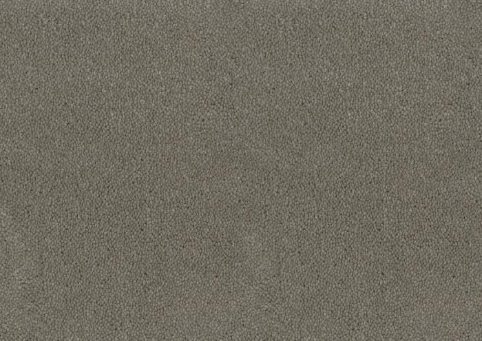 Desso Asteranne 50 9504 - Vloerbedekking - Tapijt - Harman Vloeren Amsterdam