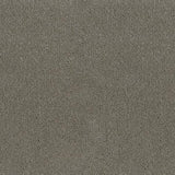 Desso Asteranne 50 9504 - Vloerbedekking - Tapijt