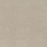 Desso Asteranne 50 9538 - Vloerbedekking - Tapijt