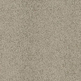Desso Bouquette 9965 - Vloerbedekking - Tapijt