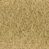 Bonaparte Chinchilla 173 Naturel - Vloerbedekking - Tapijt