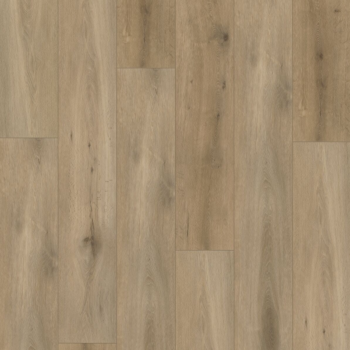 Gelasta Callisto 4103 Dryback Natural Oak Smoked