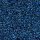 Coral Brush 5722 Cornflower Blue - Deurmat