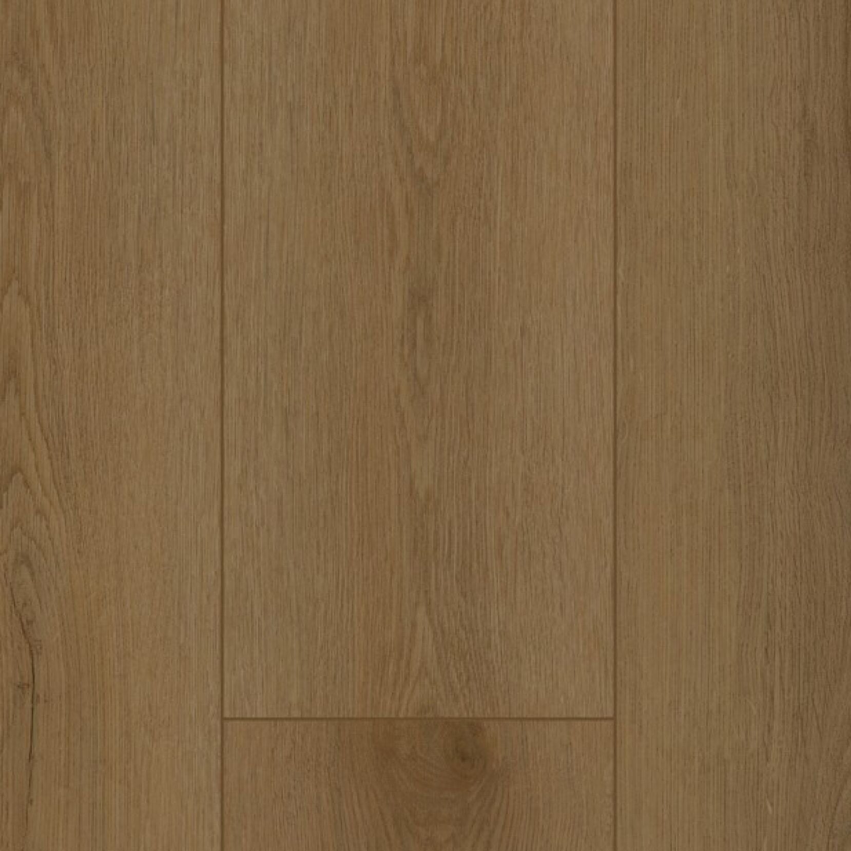 Gelasta Firmfit 6503 Sierra Brown Plak PVC