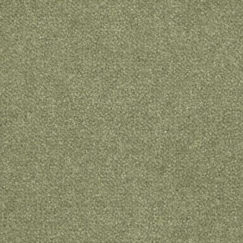 Nouwens Bogaers Scala 25255 - Tapijt - Vloerbedekking