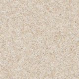 Nouwens Bogaers Woolclass 4766 Stone - Wollen Tapijt - Vloerbedekking