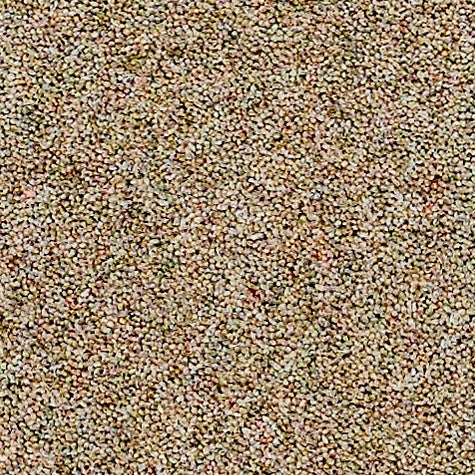 Nouwens Bogaers Woolclass 4826 Marble - Wollen Tapijt - Vloerbedekking