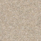Nouwens Bogaers Wooltwist 2278 Pepper - Wollen Tapijt - Vloerbedekking