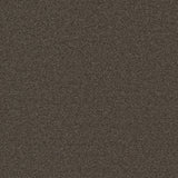 Ambiant Alaska Bruin 0600 - Vloerbedekking - Tapijt