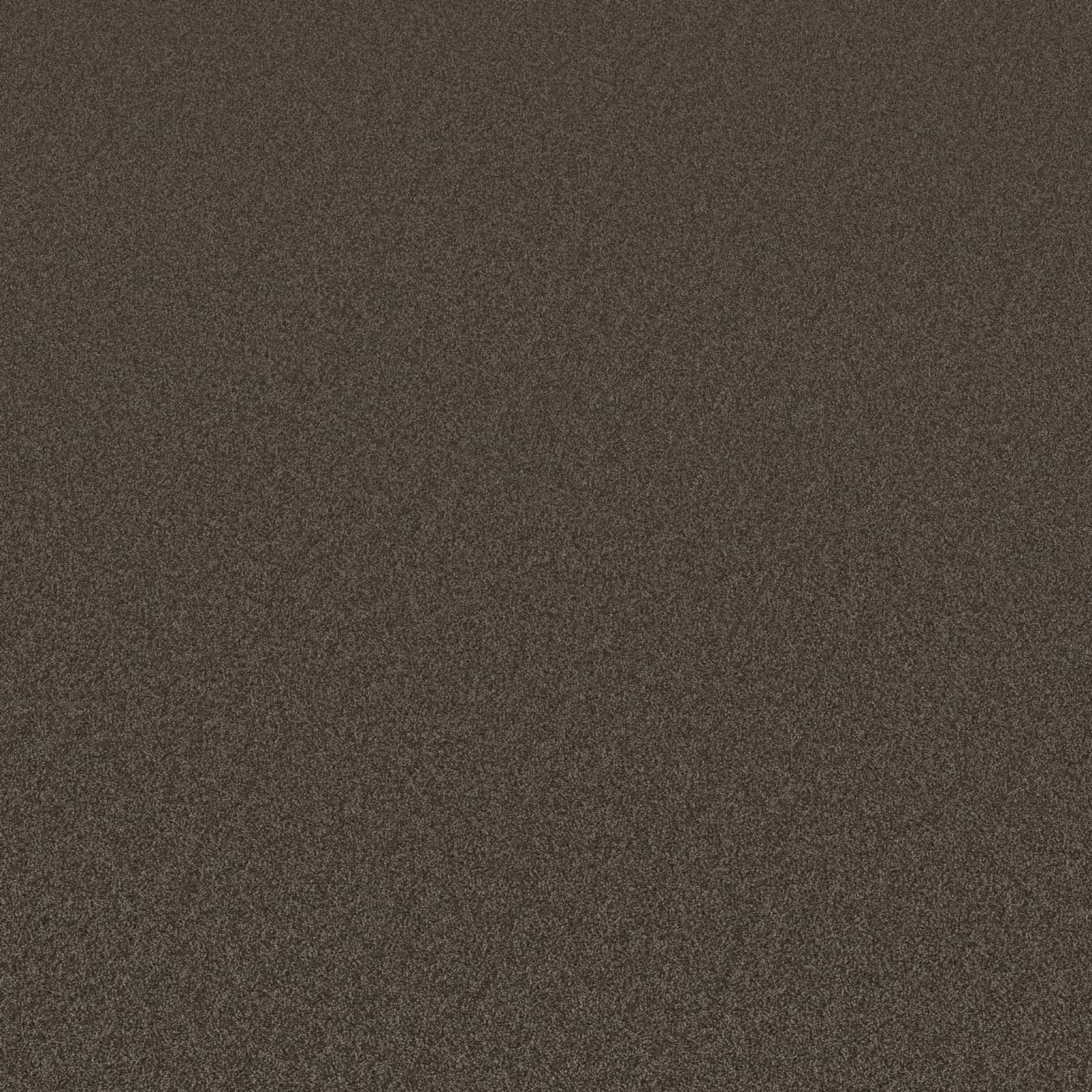 Ambiant Alaska Bruin 0600 - Vloerbedekking - Tapijt