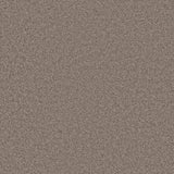 Ambiant Cleveland Taupe 0535 - Vloerbedekking - Tapijt