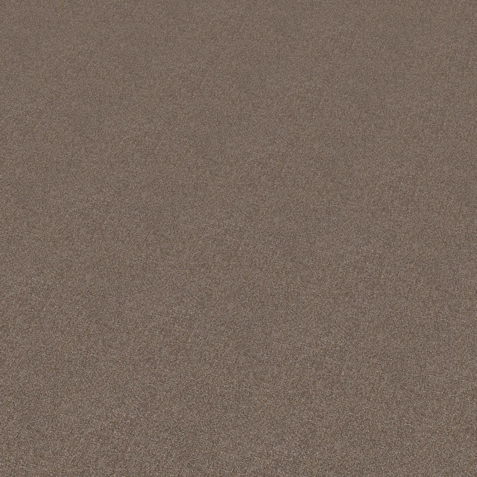 Ambiant Comfy Hazelnoot 0465 - Vloerbedekking - Tapijt