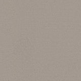 Ambiant Dallas Beige 0400 - Vloerbedekking - Tapijt