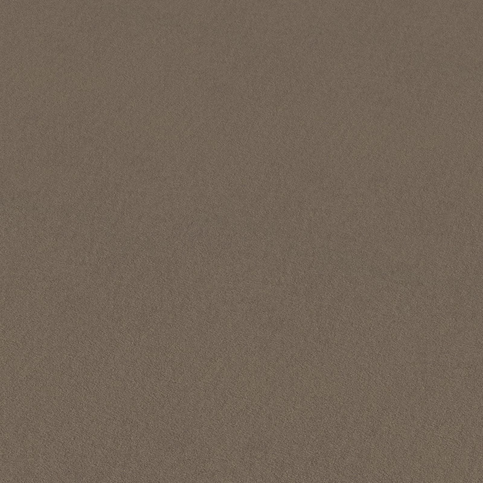 Ambiant Glendale Beigebruin 0485 - Vloerbedekking - Tapijt