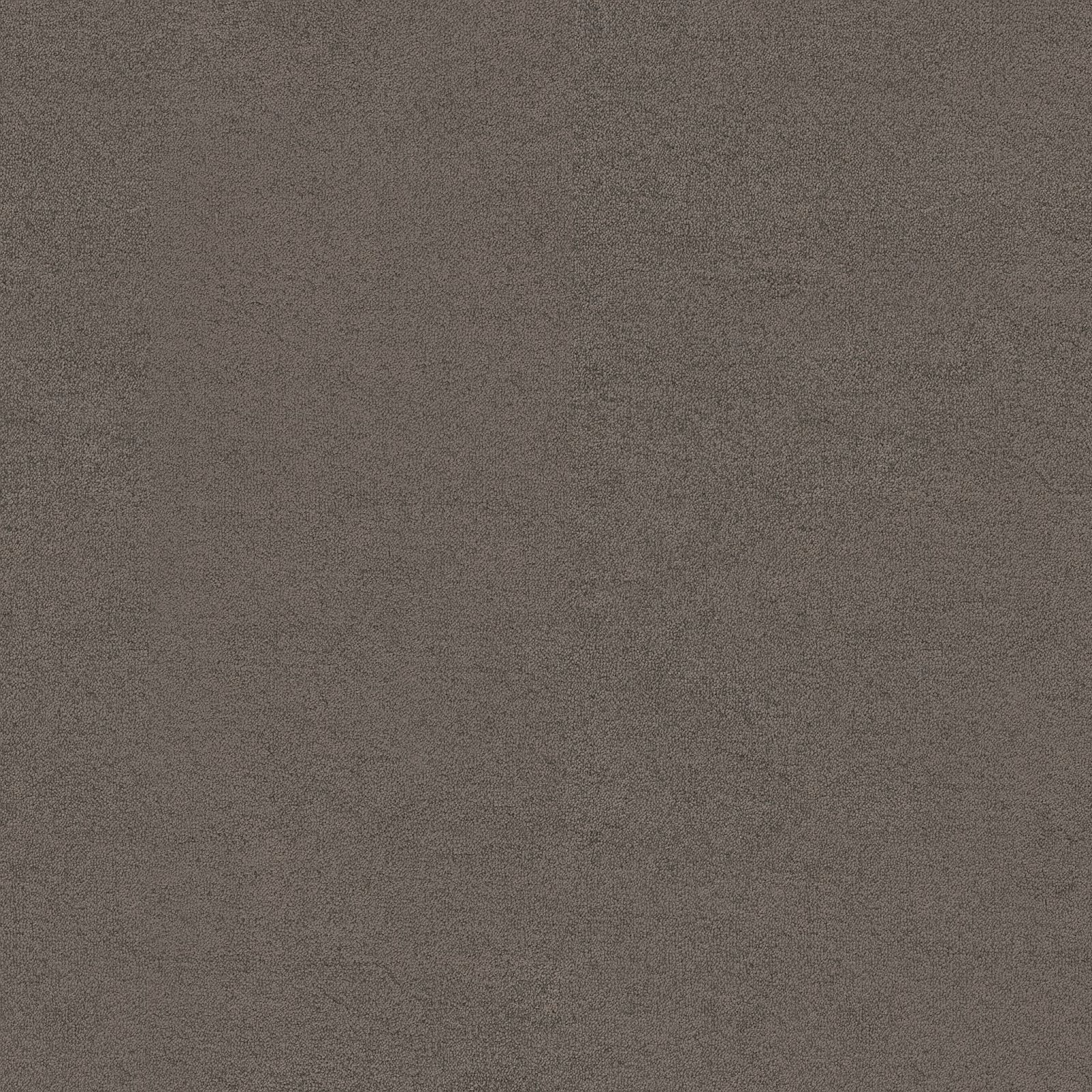 Ambiant Louisville Taupe 0535 - Vloerbedekking - Tapijt