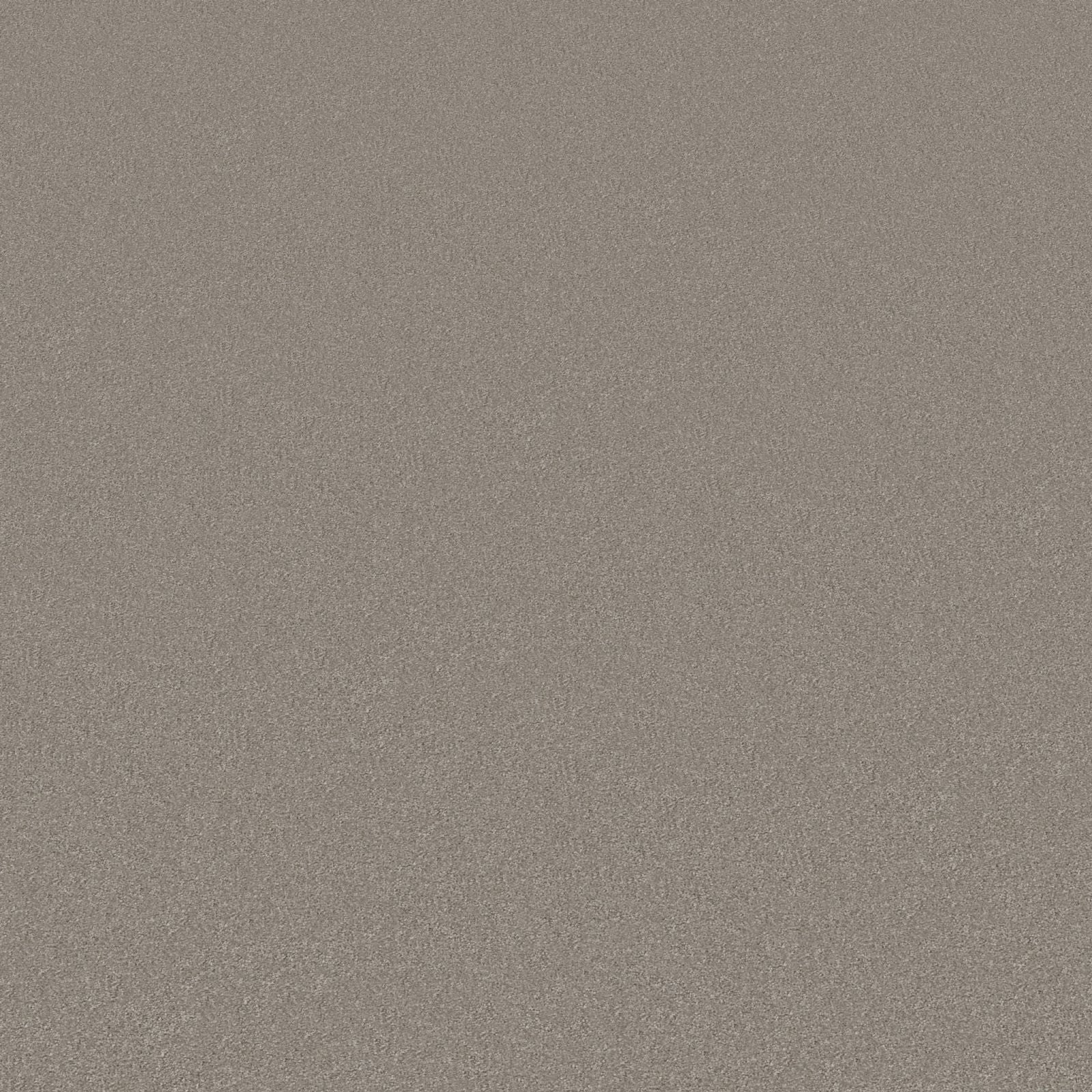 Ambiant Magnifico Grijsbruin 0119 - Vloerbedekking - Tapijt