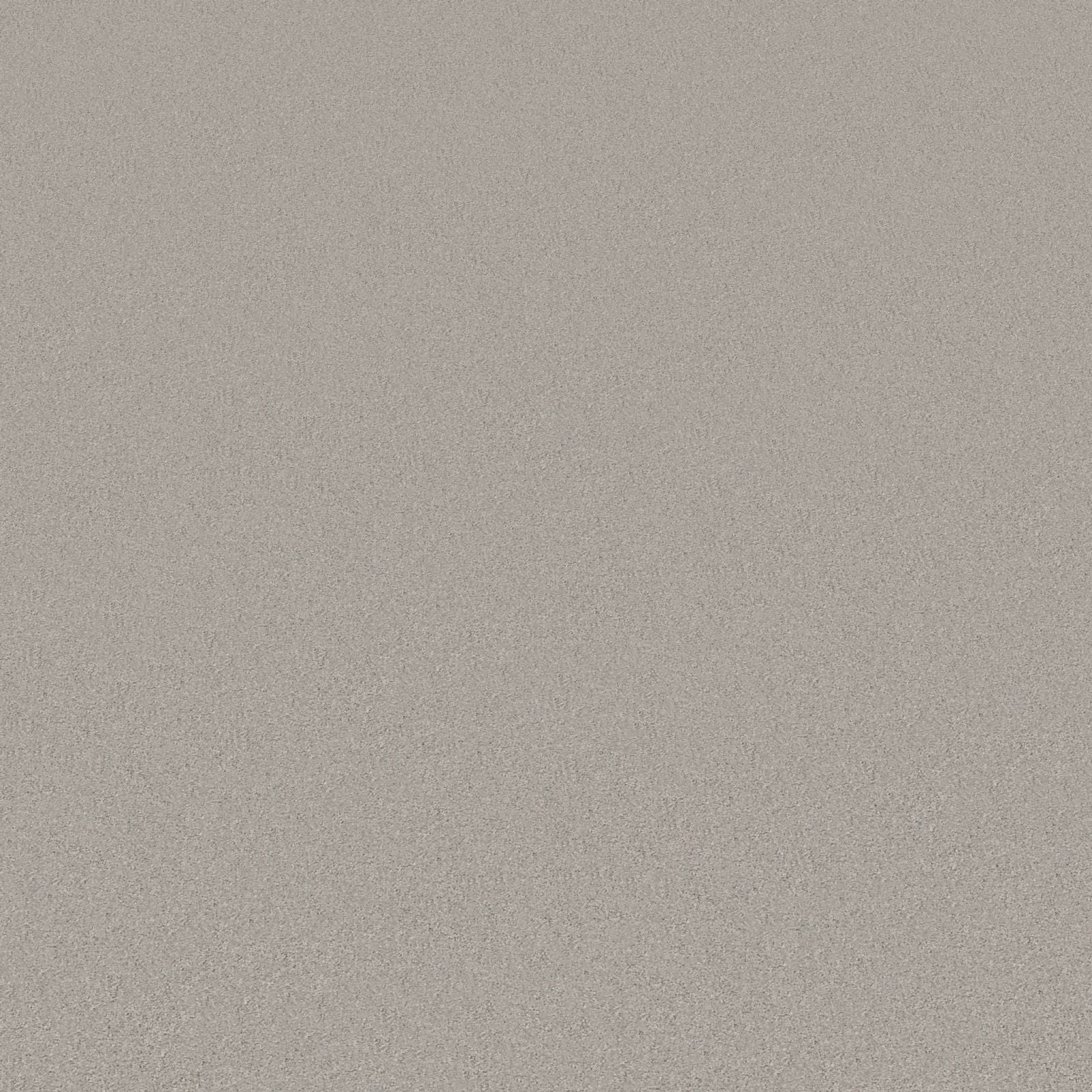 Ambiant Magnifico Parelgrijs 0105 - Vloerbedekking - Tapijt