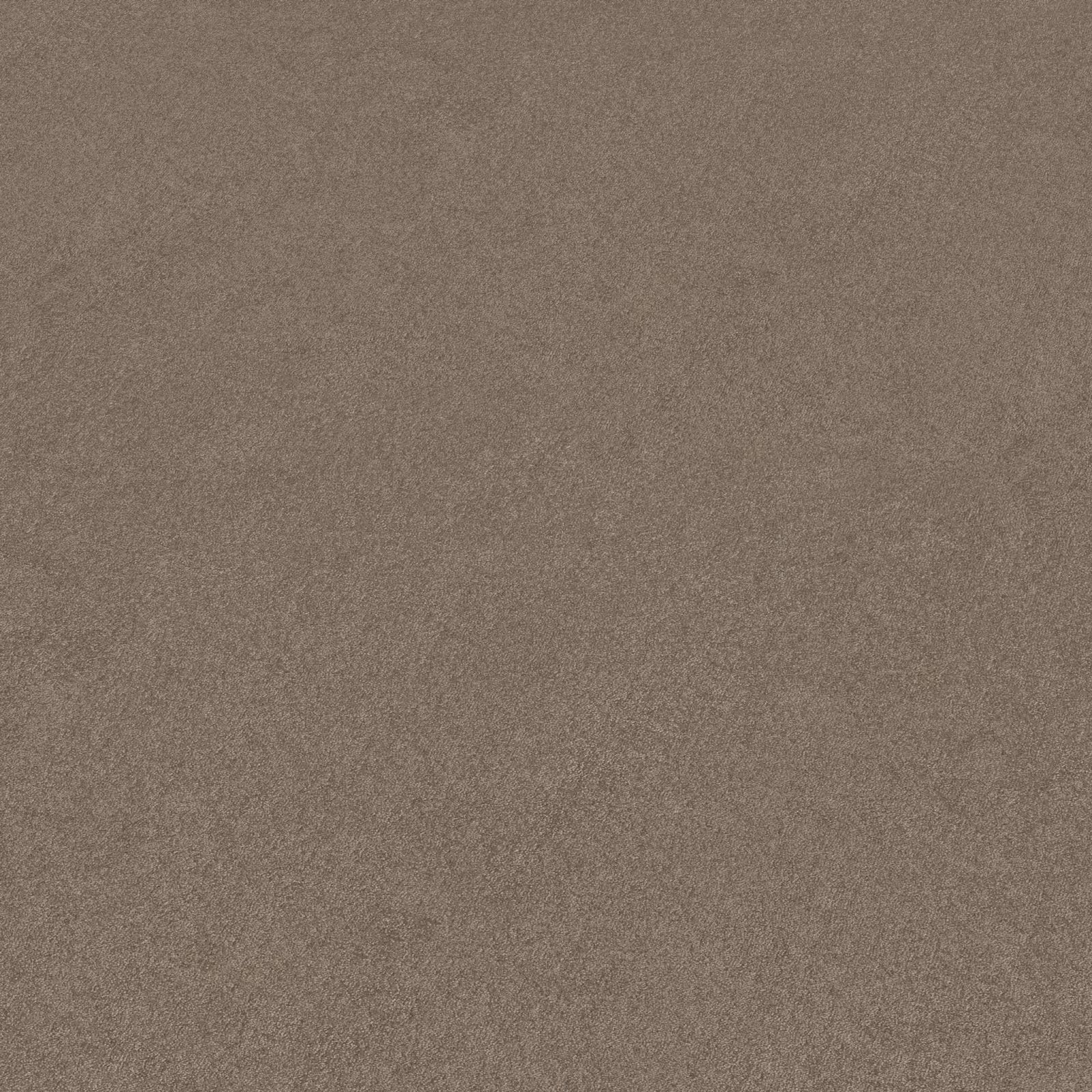 Ambiant Maryland Taupe 0535 - Vloerbedekking - Tapijt