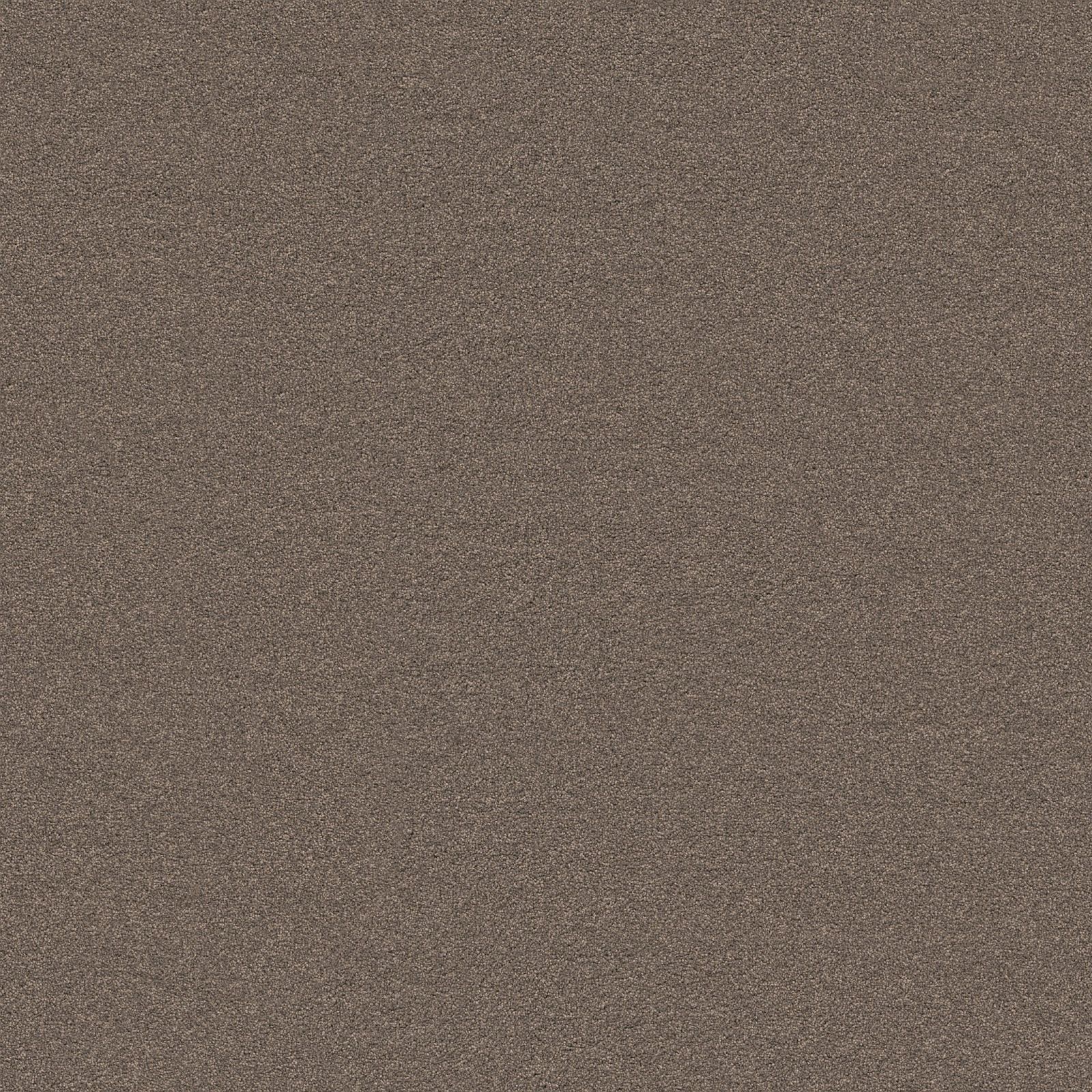 Ambiant Miami Taupe 0535 - Vloerbedekking - Tapijt