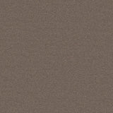 Ambiant Miami Taupe 0535 - Vloerbedekking - Tapijt