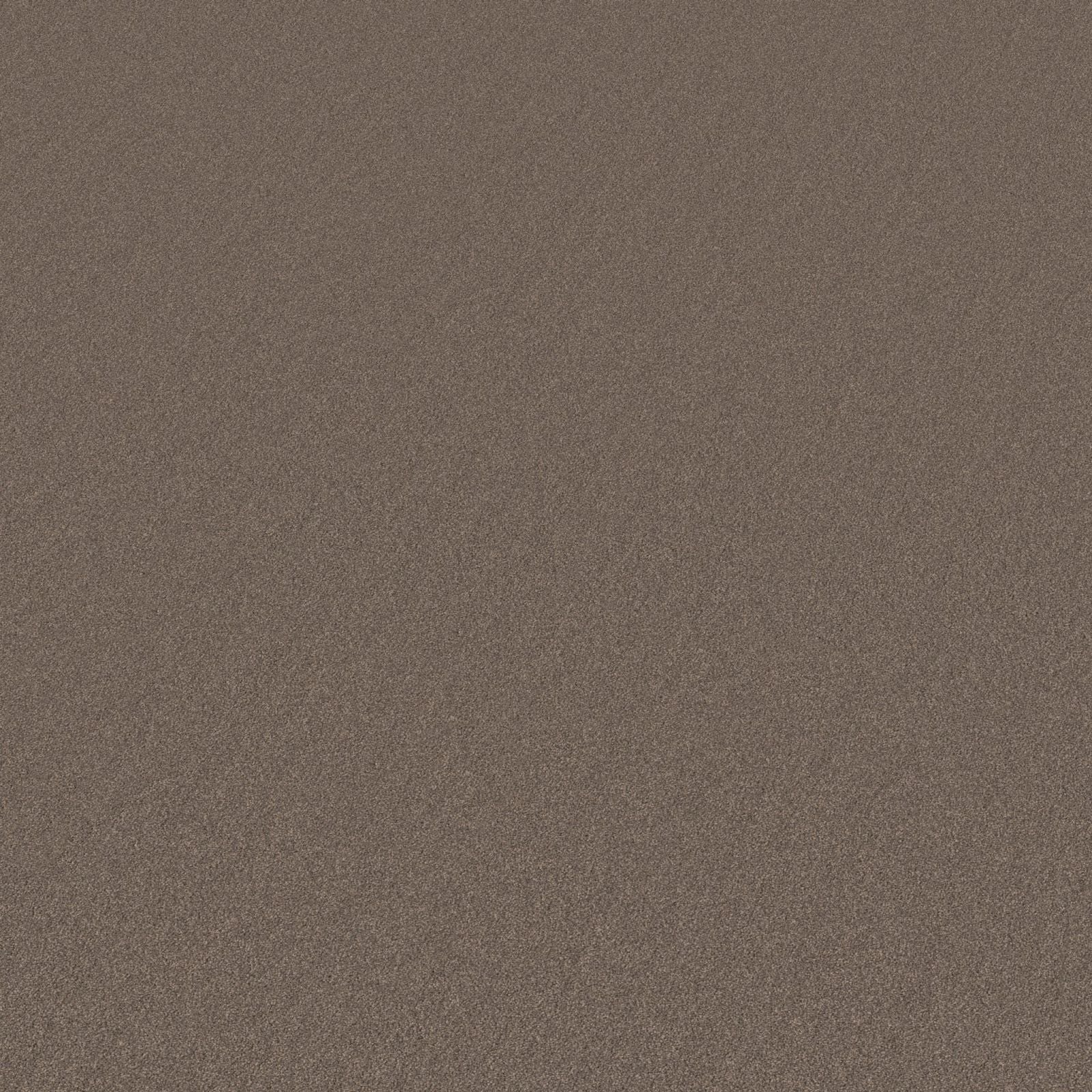 Ambiant Miami Taupe 0535 - Vloerbedekking - Tapijt