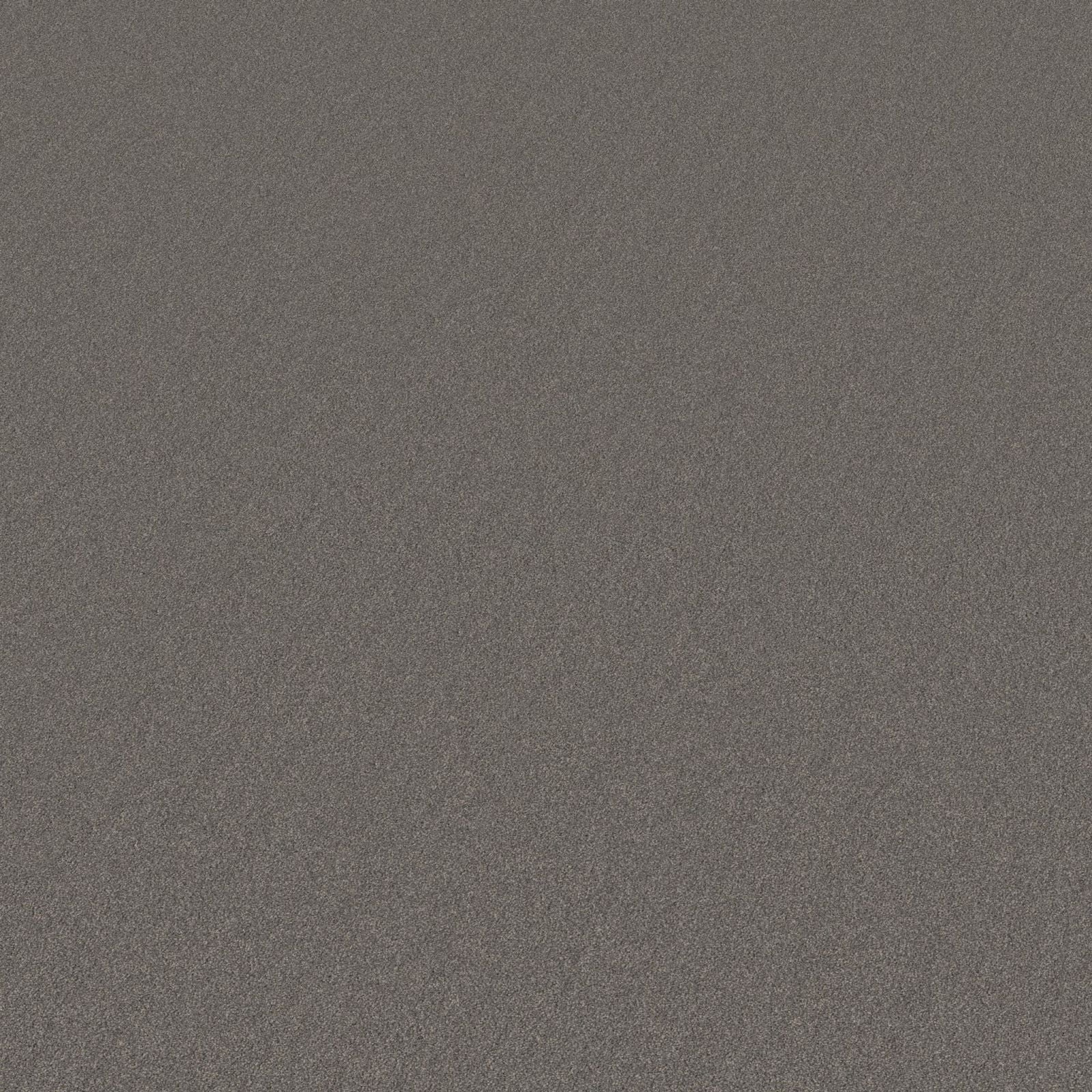 Ambiant Miami Warmgrijs 0102 - Vloerbedekking - Tapijt