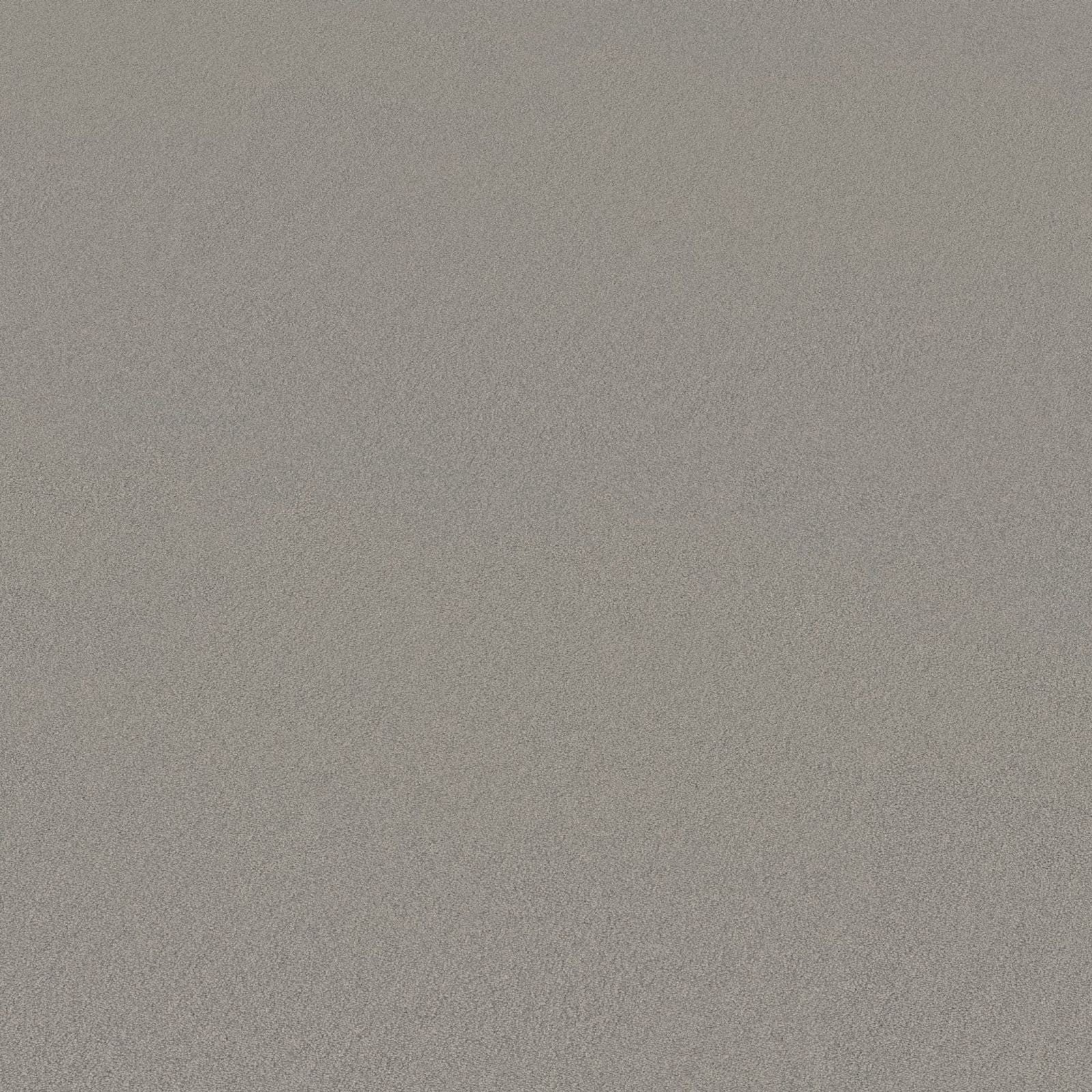 Ambiant Nashville Parelgrijs 0105 - Vloerbedekking - Tapijt