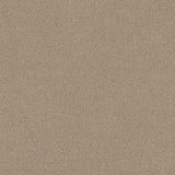 Ambiant Nevada Beige 0400 - Vloerbedekking - Tapijt