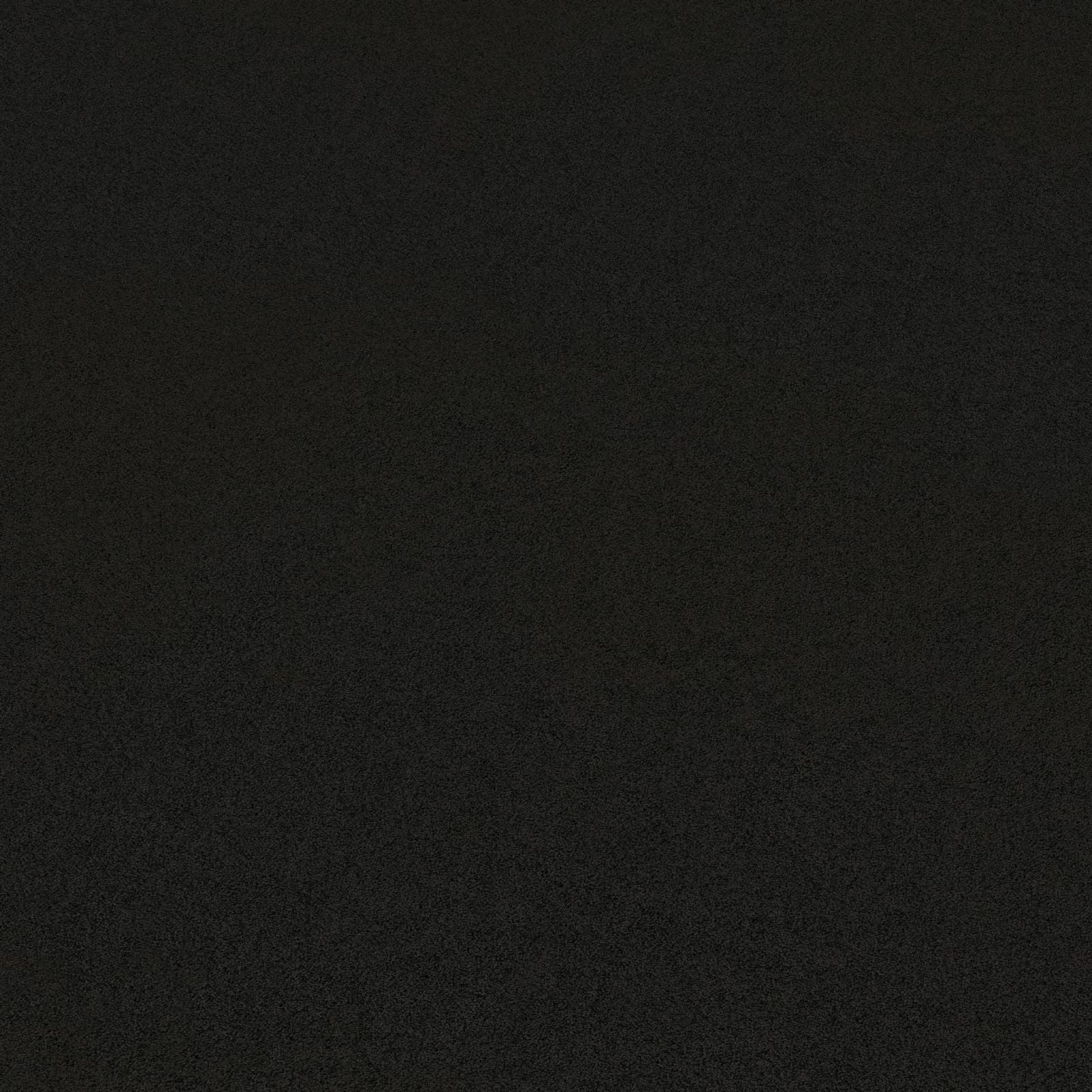 Ambiant Nevada Zwart 0200 - Vloerbedekking - Tapijt