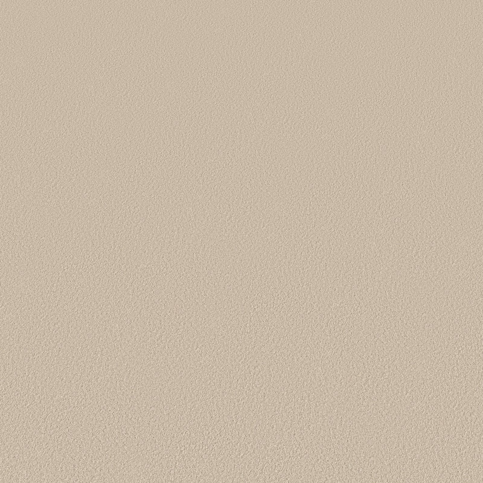Ambiant Newberry Beige 0400 - Vloerbedekking - Tapijt