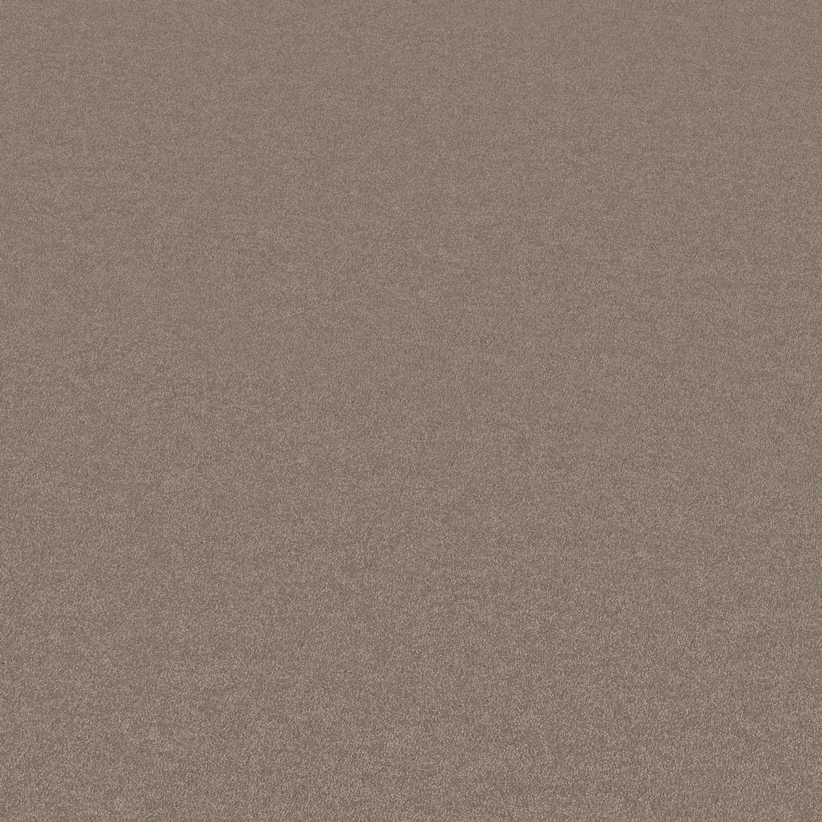 Ambiant Pittsburgh Beigebruin 0485 - Vloerbedekking - Tapijt
