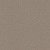 Ambiant Portland Greige 0195 - Vloerbedekking - Tapijt