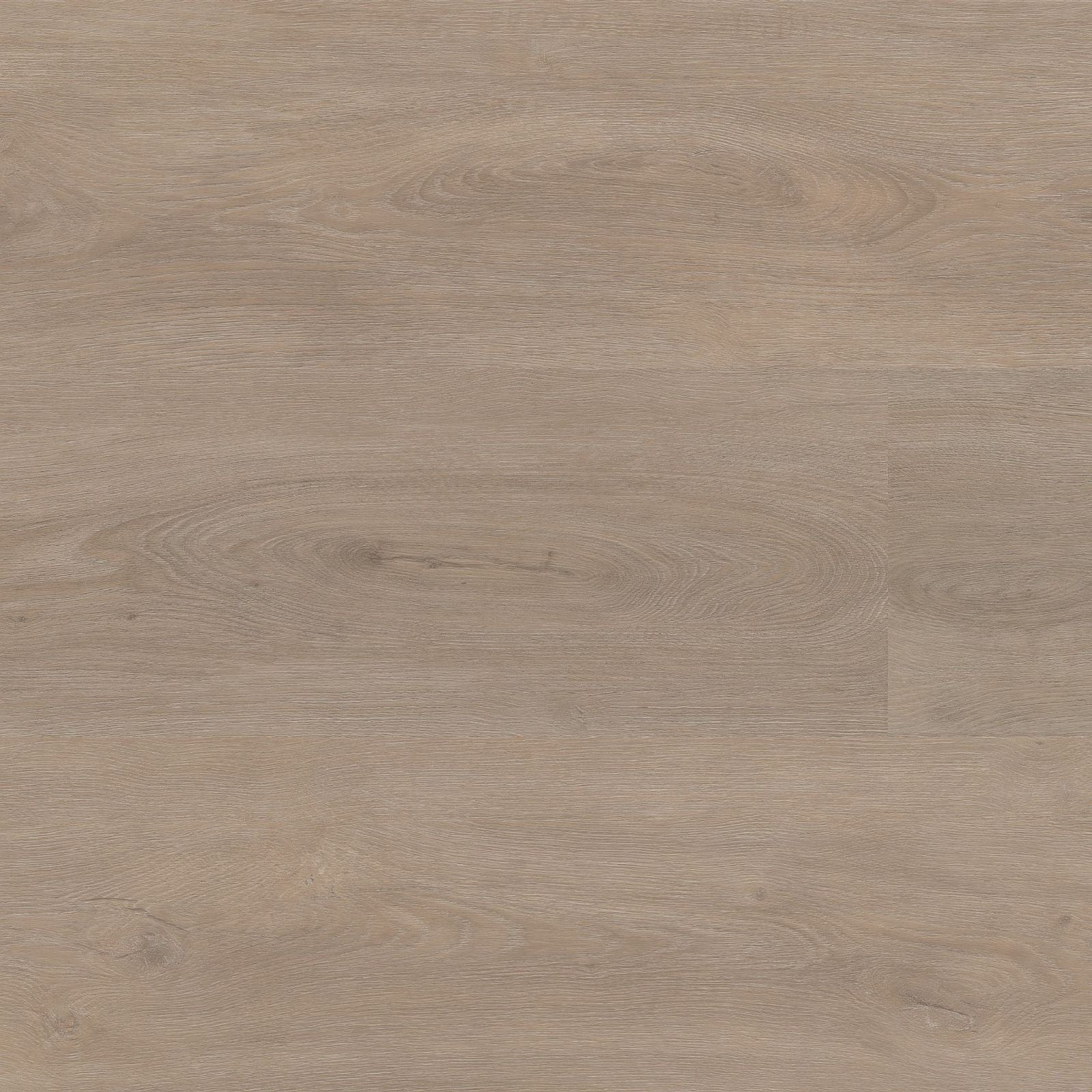 Ambiant Robusto Dryback Light Oak - Plak PVC Vloer