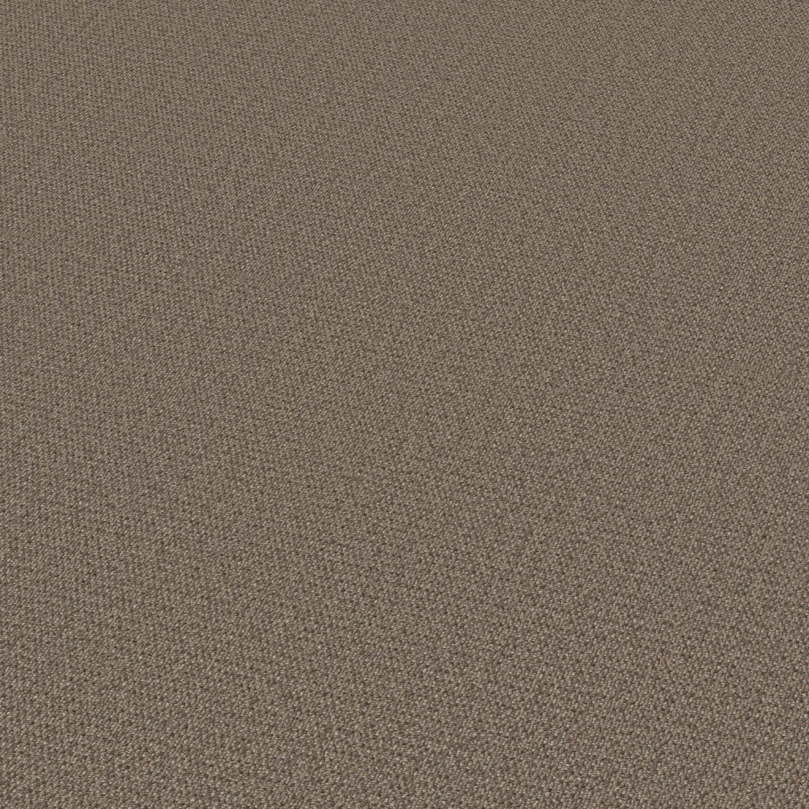 Ambiant Sacramento Bruin 0600 - Vloerbedekking - Tapijt
