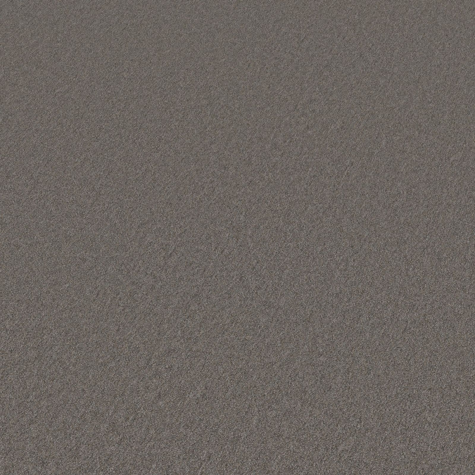 Ambiant Scottsdale Greige 0195 - Vloerbedekking - Tapijt